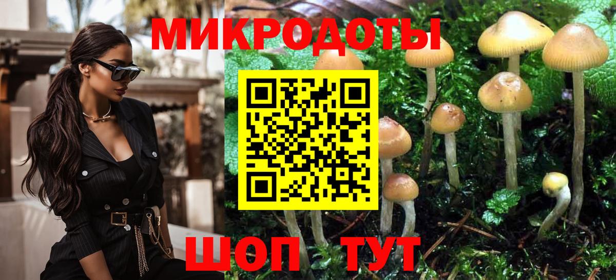Псилоцибиновые грибы мухоморы Кыштым